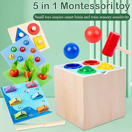 5-in-1 Wooden Educational Toys - Carrot Harvest- Fishing- Shape sorter- Pounding Game